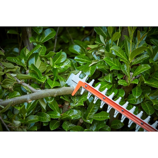 BLACKDECKER BCHTS36B hedge trimmer blade cutting tree branch in garden, close-up