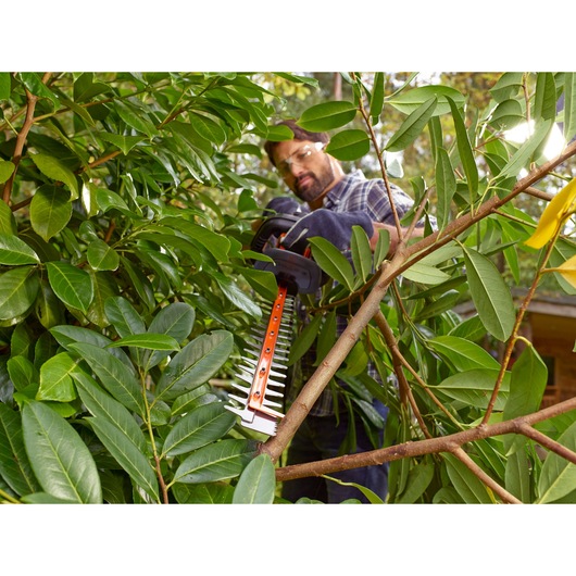 BLACKDECKER BEHTS301 hedge trimmer in use, trimming dense green branches outdoors.