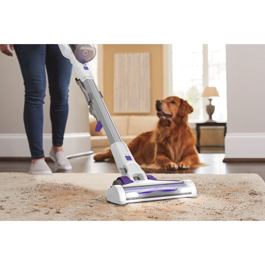 BLACKDECKER BHFEV1825CP cordless vacuum cleaning carpet in home with dog laying in background.