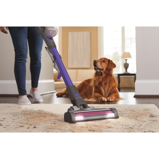 BLACKDECKER BHFEV362DP cordless stick vacuum cleaning carpet with dog in background in living room.