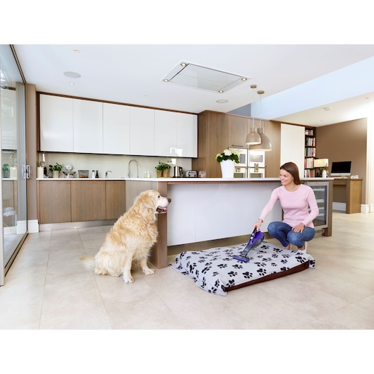 BLACKDECKER DVA325JP07 handheld vacuum cleaning dog bed in modern kitchen, with dog present.