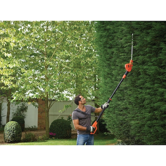 BLACKDECKER PH5551 pole hedge trimmer in use trimming tall hedges outdoors.