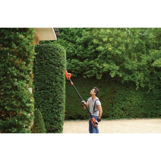 BLACKDECKER PH5551 pole hedge trimmer used to trim tall hedge outdoors.